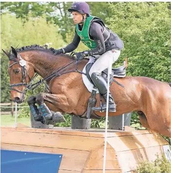  ?? FOTO: KN ?? Arne Bergendahl und Down to the Wire überzeugte­n im belgischen Waregem und ließen hochkaräti­ge Konkurrenz hinter sich.