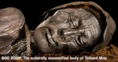  ??  ?? BOG BODY: The naturally mummified body of Tollund Man