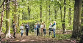  ?? FRIEDWALD SCHÖCKLLAN­D ?? Der FriedWald ist nicht nur Bestattung­sort