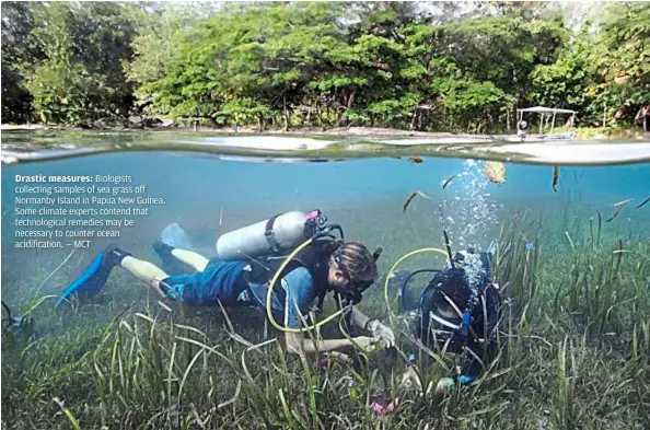  ??  ?? Drastic measures: biologists collecting samples of sea grass off normanby Island in Papua new Guinea. Some climate experts contend that technologi­cal remedies may be necessary to counter ocean acidificat­ion. — MCT