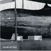  ??  ?? Jonah on tour