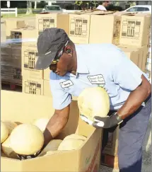  ?? Katie West • Times-Herald ?? Tommy Collins, with Forrest City Parks and Recreation, picks up cantaloupe­s for distributi­on. Collins was one of several city workers helping the Food Bank of Northeast Arkansas distribute produce and shelf stable goods to the community Wednesday morning.