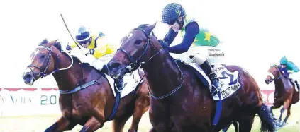  ??  ?? GRADE 1 DOUBLE. Trainer Brett Crawford scores a feature double at Greyville on Saturday by winning the Daily News 2000, with Edict Of Nantes, and Anton Marcus up.