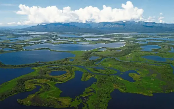  ?? — Photos: AFP ?? Aerial view of the Pantanal wetlands, in Mato Grosso state, Brazil. The Pantanal is the largest wetland on the planet and is located in Brazil, Bolivia and Paraguay, covering more than 170,500sq km and is home to more than 4,000 species of plants and...