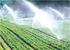  ??  ?? In order to minimise the effects of poor rainfall on output, the agricultur­al sector requires drought proofing through massive investment­s in irrigation