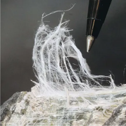  ?? RICH PEDRONCELL­I /THE ASSOCIATED PRESS ?? The fibres of an asbestos rock. Canada has stopped mining and exporting asbestos because of its health risks.