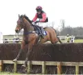  ??  ?? Punter Friendly repeats last year’s win in the hunt race