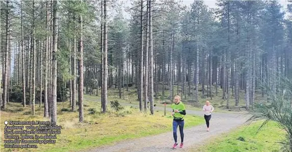  ??  ?? ● Newborough Forest on Anglesey won a local derby final overNorth Wales rivals Conwy, below, in a global vote for the most popular tourism parkrun