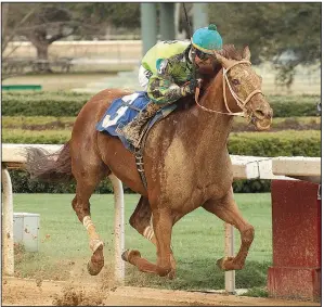  ?? The Sentinel-Record/RICHARD RASMUSSEN ?? Jockey Corey Lanerie guides Hawaakom across the wire to win the $500,000 Razorback Handicap at Oaklawn Park in Hot Springs on Monday. Hawaakom’s winning time was 1 minute, 45.14 seconds.
