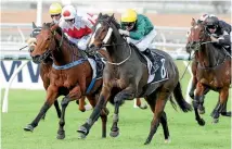  ?? PHOTO: RACE IMAGES ?? Benzini will tackle the Adelaide Cup on Monday in Morphettvi­lle.