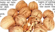  ??  ?? Scientists say walnuts have range of powers