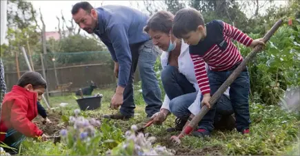  ?? (Photos Adeline Lebel) ?? Deux fois par semaine, qu’importe la météo, les petits se transforme­nt en apprentis jardiniers. Ils cultivent toutes sortes de légumes, qu’ils peuvent ensuite cuisiner et déguster à l’école.