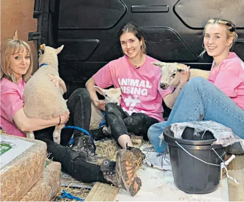  ?? ?? The Animal Rising activists said they ‘rescued’ the sheep so they could take them to a ‘place of safety’. They then proclaimed their actions outside Windsor Castle