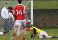  ?? Pictures: Kieran Carr ?? Williams celebrates his first goal againstWic­klow.