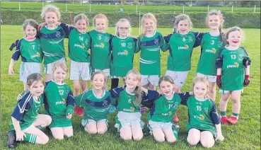  ?? ?? Shamrocks U8s who played Ballyduff in Knockanore last week.