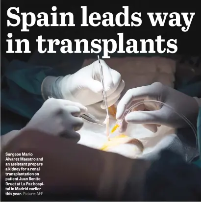  ?? Picture: AFP ?? Surgeon Mario Alvarez Maestro and an assistant prepare a kidney for a renal transplant­ation on patient Juan Benito Druet at La Paz hospital in Madrid earlier this year.