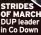  ??  ?? STRIDES OF MARCH DUP leader in Co Down