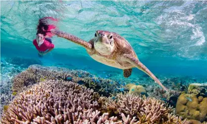  ?? Photograph: Richard Fitzpatric­k ?? Labor and the Coalition are battling for marginal seats in Queensland where voters are concerned about the reef.