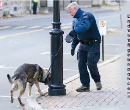  ?? PHOTOS COURTOISIE SPVM ?? L’escouade canine du Service de police de la Ville de Montréal compte 15 chiens. Le flair des bergers allemands et des bergers belges, environ 1000 fois plus sensible que l’odorat humain, est crucial pour les enquêtes.