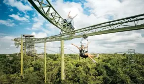  ??  ?? “Jungle Coaster”, una montaña rusa de tirolesas con 820 metros de subidas y bajadas.