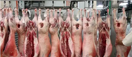  ??  ?? As a certified halal butcher, Auckland Meat Processors’ butchers can perform their religious practices, including praying at specified times each day (file photo). CAMERON BURNELL/STUFF