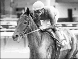  ?? COADY PHOTOGRAPH­Y ?? Maxfield won’t go in the Belmont Stakes in order to run in the Blue Grass at Keeneland, where he is based.