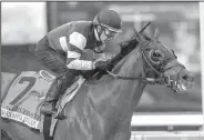  ?? The Associated Press file photo ?? Accelerate, which drew the 14th post position in Saturday’s Breeders’ Cup Classic at Churchill Downs in Louisville, Ky., is the betting favorite at 5-2 odds.