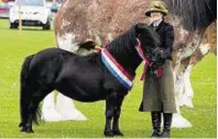  ??  ?? Kelly Peace with her Shetland champion Hools Janet