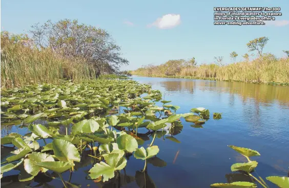  ??  ?? EVERGLADES GETAWAY: The 300 miles of inland waters to explore in Florida’s Everglades offer a never-ending adventure.