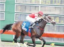  ??  ?? Inmenso, propiedad de Jesús García Fernández y Jaime Yael Cruz, corre éste sábado en el Hipódromo Quinto Centenario