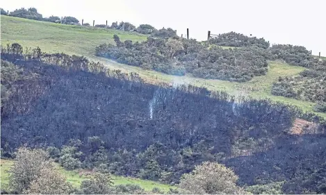  ?? Picture: Steven Brown. ?? Burnt gorse after the hill fire on Benarty Hill near Ballingry on Saturday.