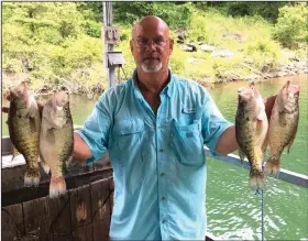  ?? (Photo submitted by Wayne Stewart) ?? Trolling crankbaits enables Wayne Stewart to catch slab crappie in the heat of summer on Greers
Ferry Lake.