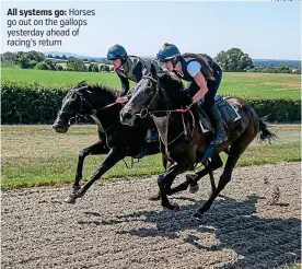  ?? PICTURE: PA ?? All systems go: Horses go out on the gallops yesterday ahead of racing’s return