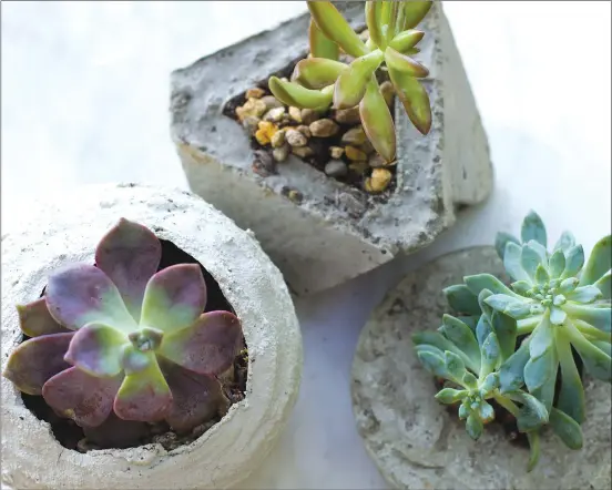  ?? Associated Press photo ?? This photo shows small concrete planters in Strafford, N.H. Concrete planters can provide an industrial or rustic home for succulents and other small plants, and they're inexpensiv­e and fairly easy to make. Spherical planters can be fashioned by applying cement to balloons, and bowls and other plastic containers can be used as molds for smoother results. A cardboard template taped together formed the mold for the more angular, geometric version shown here, top.