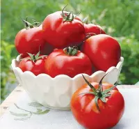  ?? SALLY TAGG/NZ GARDENER ?? If growing plump, juicy red tomatoes is your aim, be prepared to put the work in.
