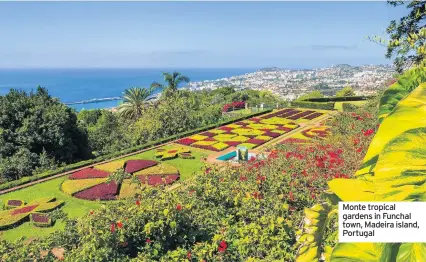  ?? PKAZMIERCZ­AK ?? Monte tropical gardens in Funchal town, Madeira island, Portugal