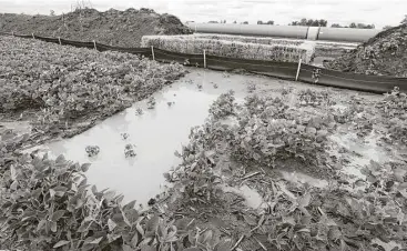  ?? Tony Dejak / Associated Press ?? Dozens of Ohio farmers have complained that their fields are being flooded by pipeline crews pumping storm water out of open trenches. Some hope a federal judge will order the company to stop.