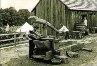  ?? PHOTO BY ROBERT S. WALCH, COURTESY OF AMERICAN FOLKLIFE COLLECTION. ?? A Folklife staff member feeds apples into the hopper of an ancient Appalachia­n pomace mill while another worker turns the boom that crushes the apples as they pass between two giant gears.