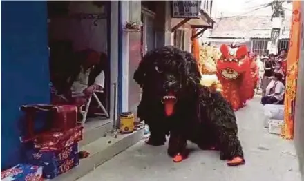  ?? OF READER PIC COURTESY ?? A lion dance performanc­e featuring dancers in a dog costume, instead of the traditiona­l lion costume. Lion dance troupes are offering the ‘dog dance’ this year to usher in the Year of the Dog.