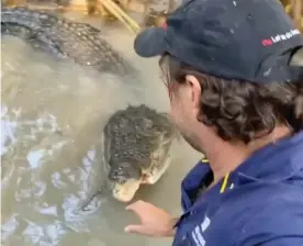  ?? Photograph: Instagram ?? ‘Outback wrangler’ Matt Wright negotiates with a large crocodile, known as Bonecrunch­er, who is in the way as he tries to clear logs from a river in the Northern Territory.