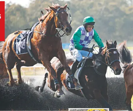  ?? Pictures: RACING PHOTOS ?? SWELL RIDE: Wells, ridden by Richard Cully, wins the Mosstroope­r Steeplecha­se at Bendigo yesterday. LEFT: Cully gets a hug from trainer Kath Durden.