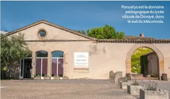  ??  ?? Poncetys est le domaine pédagogiqu­e du lycée viticole de Davayé, dans le sud du Mâconnais.