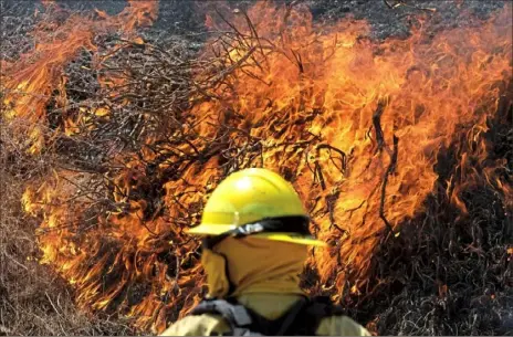  ?? Ringo H.W. Chiu/Associated Press ?? A firefighte­r watches the Apple Fire in Banning, Calif., on Sunday.