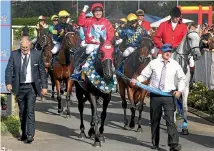  ?? PHOTO: TRISH DUNELL ?? El Soldado and Darryl Bradley return to the birdcage after causing a boilover in the Auckland Cup two years ago.