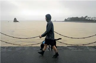  ?? ALDEN WILLIAMS/STUFF ?? Britannia Heights resident Dave Jordan makes his way home along Rocks Rd with his dog Nyx.