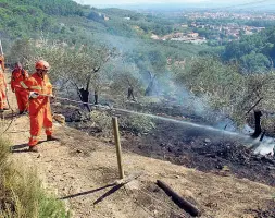  ??  ?? Nella foto grande, scattata dall’alto, si può notare la differenza, non solo cromatica, tra la parte del Monte Serra devastata dalle fiamme che si sono alzate lunedì notte, e quella risparmiat­a dalla potenza del fuoco. Sopra invece le operazioni di spegniment­o di alcuni focolai durante la giornata di ieri Il grigio e il verde