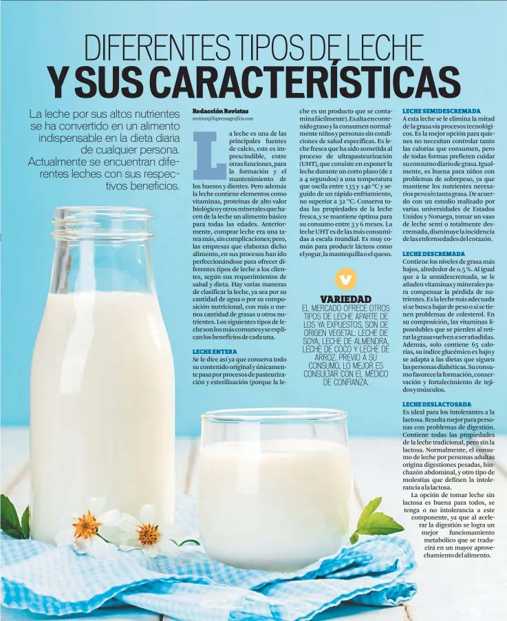 Magistrado Provisional acoso DIFERENTES TIPOS DE LECHE Y SUS CARACTERÍSTICAS - PressReader