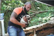  ?? SILVIA IZQUIERDO / AP ?? A volunteer holds an injured abandoned cat on Brazil’s Furtada Island, also known as “Island of the Cats”, on Oct 13.