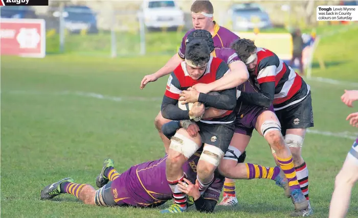  ??  ?? Tough Lewis Wynne was back in County colours on Saturday