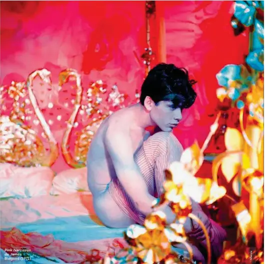  ??  ?? Pink Narcissus de James Bidgood (1971)